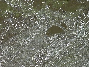Frothy swirls on the River Tees