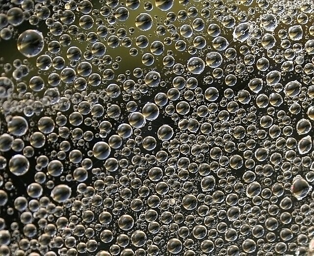Color photo of water droplets