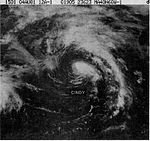 Hurricane Cindy (1981).JPG