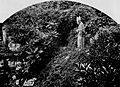 Paul Gruyer : Statue de saint Corentin dans les ruines de l'abbaye [de Landévennec] (vers 1903)