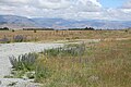 Landschaft am Lake Ohau