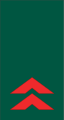 Primeiro-sargento (Mozambican Army)