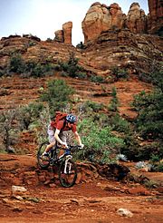 Mountain biker riding in the Arizona desert.