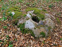 Naturdenkmal „ND WL 00010“ im Landkreis Harburg (Niedersachsen): Wanderblock, am Botenberg, Schätzendorf