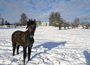 Hästhagar med huvudbyggnaden i bakgrunden.