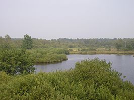 Vennen, heiden en moerassen rond Turnhout