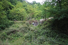 Vue extérieure de l'entrée des munitions, envahie par la végétation.