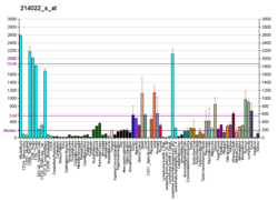 PBB GE IFITM1 214022 s at fs.png