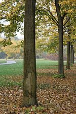 Miniatura per Parco Nord Milano