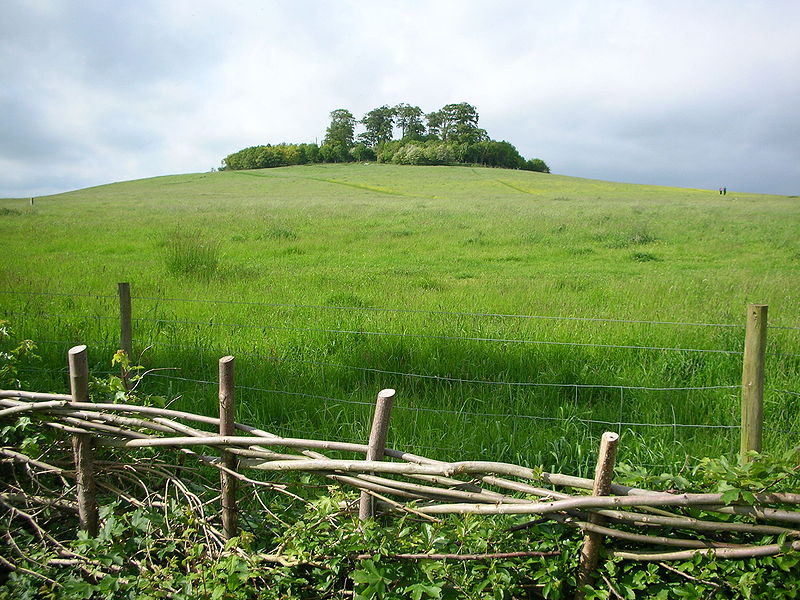 File:Round Hill, Wittenham Clumps.JPG