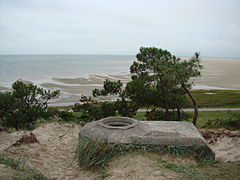 otok Terschelling