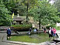 The miraculous spring in the village Rakovets, Pustomyty Raion.