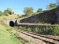 Tunel în apropiere de Săcel, Maramureș, pe Linia 409 Salva – Vișeu de Jos – Sighetu Marmației.