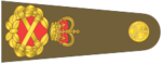 Shoulder insignia consisting of crossed golden batons surrounded by golden oak leaf embellishment, topped with a crown.