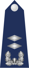 11.SKAF-1LT.svg