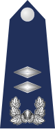 11.SKAF-1LT.svg