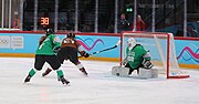 The goalie of Team Brown stops a shot by Team Green