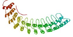 Ankyrin R membrane-binding domain 1N11.png