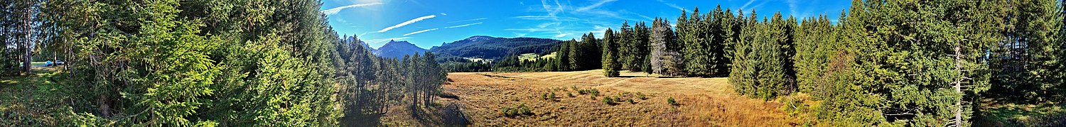 Panorama von der Aussichtsplattform Grabser Rosshag