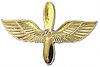 aviation branch insignia
