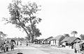 বনপাড়া বাজার, ১৯৬৫ সাল