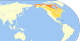 Aire de répartition du Bécasseau semipalmé