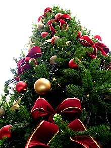 220px-Christmas_tree_sxc_hu.jpg