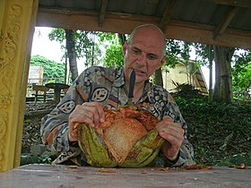 Битва с кокосом (3)