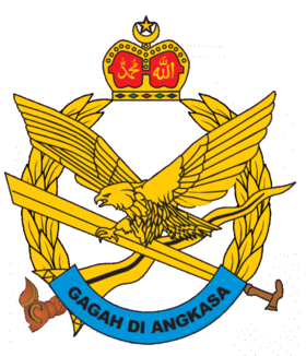 Image illustrative de l’article Aviation de l'armée malaisienne