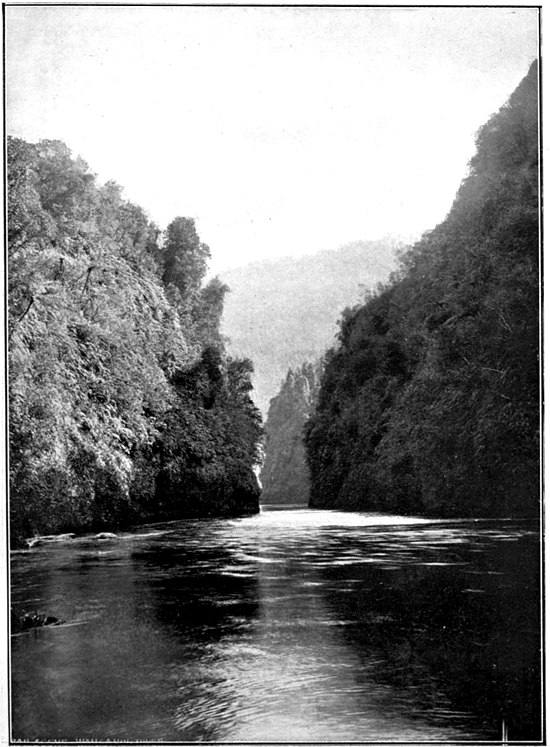 View of the Wanganui River with high, densely wooded cliffs on either side and more hills in the distance