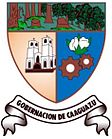 Caaguazú megye címere