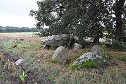 Großsteingrab Lintern