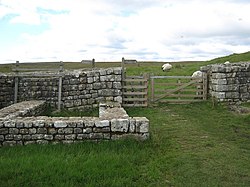 Стена Адриана в Кнаг-Бёрн к северо-востоку от форта Хаусстедс - geograph.org.uk - 1495123.jpg