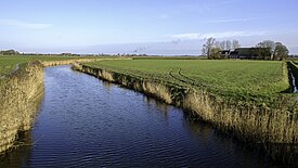 Meedstermaar vanaf het hoogholtje met rechtsachter boerderij Iturea