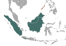 Mydaus areas.png