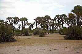 Omhedi Cultural Landscape