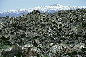 Застывшие базальтовые лавы Тендюрек (1990 г).
