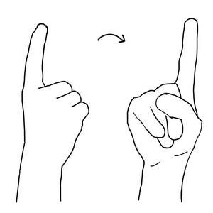 Polish Sign Language - letter D