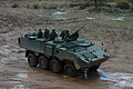 Pandur 8x8 Wheeled Armoured Personnel Carrier, Trident Juncture 15 (21891748564).jpg