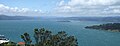 Port Nicholson (Wellington Harbour) from Mt Vic