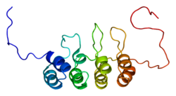 Белок CDKN2A PDB 1a5e.png