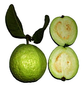 Плід Psidium guajava