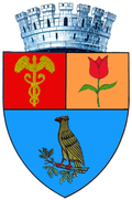 Wappen von Pitești