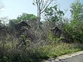 San Antonio Tzacalá, Yucatán.