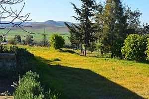 Landschaft bei Tiddas im Frühjahr