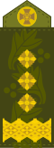 Знак плеча UA 20.svg