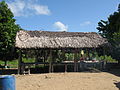 Une hutte traditionnelle des indiens Waraos dans le delta de l'Orénoque, en 2007.