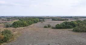 Вид на Ягорлицьку затоку, березово-дубовые кілки и степ на Солоноозерній ділянці Чорноморського біосферного заповідника.JPG