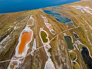 Słone jeziora i bagna w północnej części wyspy (2020)