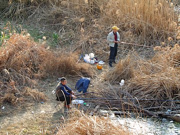 Bord de rivière au Shaanxi non loin des terrasses alluviales fréquentées par l'Homme de Dali, 2019